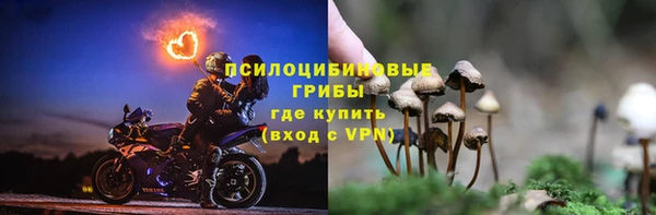 тгк Абаза