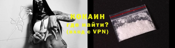 прущий лед Алзамай