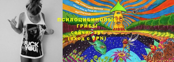 прущий лед Алзамай