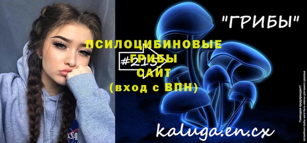 прущие грибы Алексин