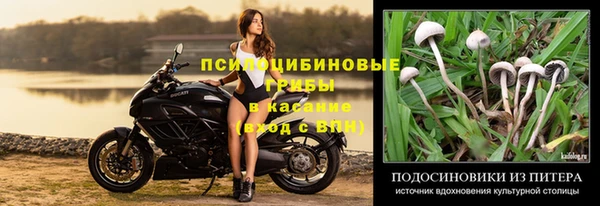 дурь Абдулино