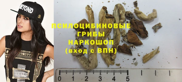 прущий лед Алзамай